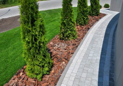 AdobeStock_281502933
