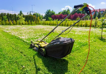 AdobeStock_360618938