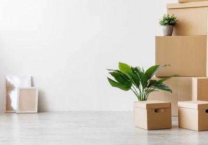 AdobeStock_466020572