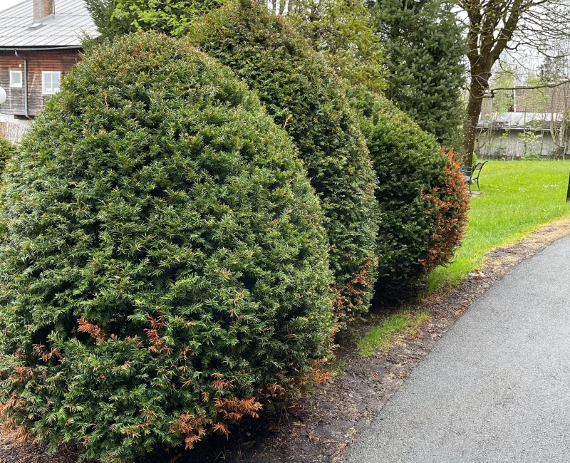 aac1b563-8975-4472-a4f4-da843de922bb