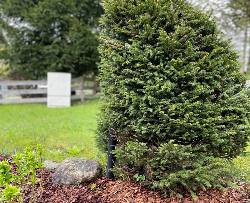 b7cddb8a-9876-48ea-8760-9108ed55beb6